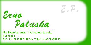 erno paluska business card